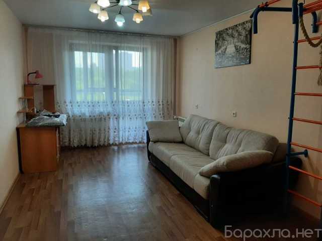 Сдам: квартиру