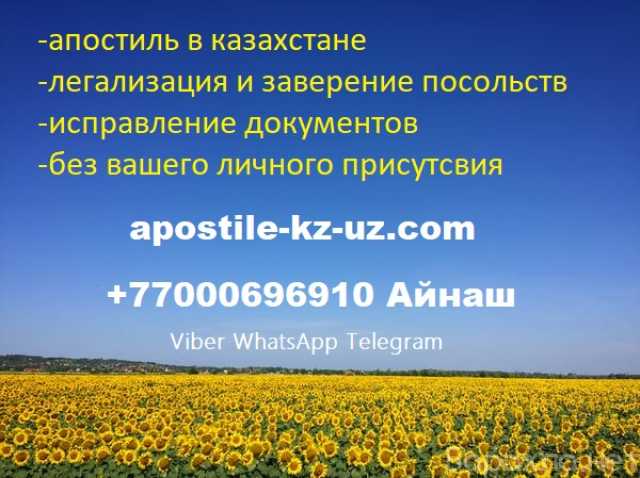 Предложение: Легализация документов Казахстана