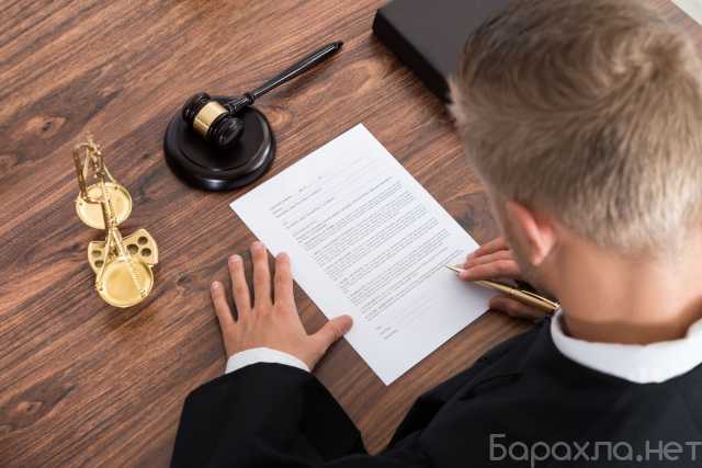 Предложение: Юрист в судах апелляционной инстанции