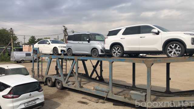 Предложение: Перевозка автомобилей на автовозе
