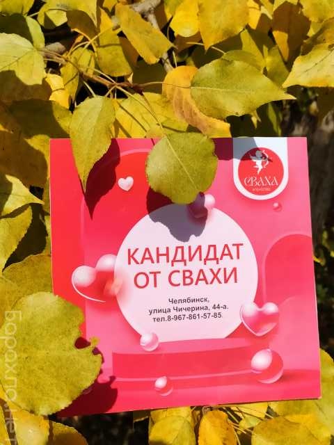 Предложение: Знакомства у Свахи