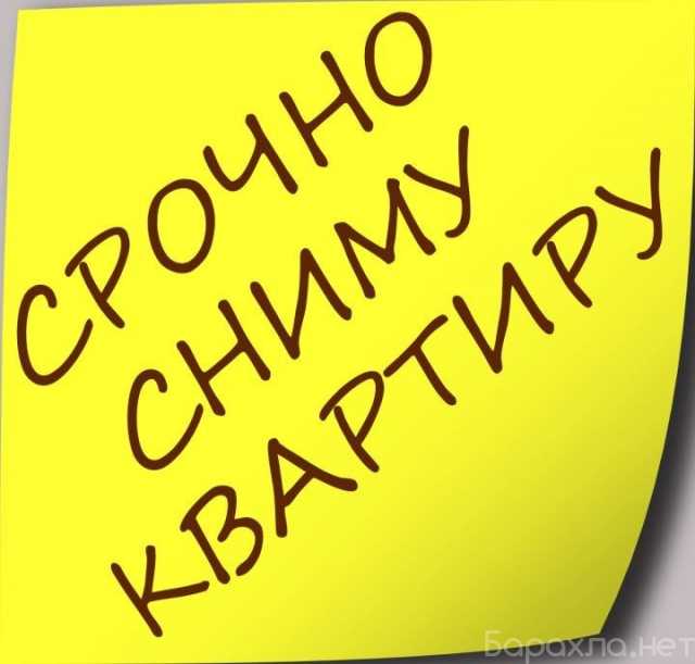 Сниму: квартиру