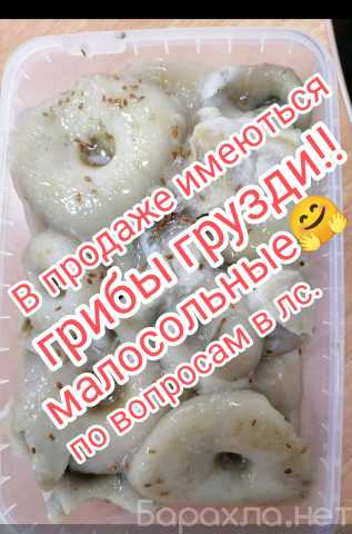 Продам: Грузди солёные