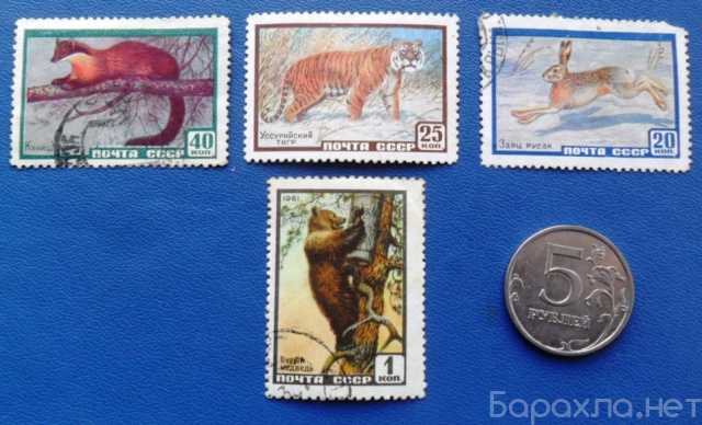 Продам: серия гашеных марок Животные СССР. 1961