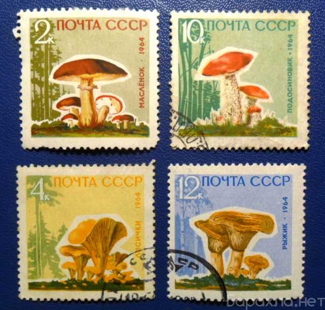 Продам: серия марок Съедобные грибы СССР. 1964 г