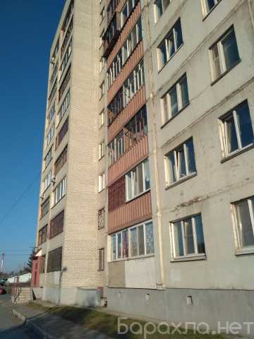 Сдам: квартиру