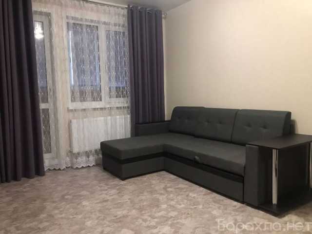 Сдам: квартиру