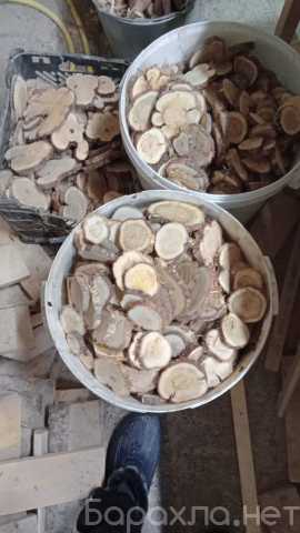 Продам: Спилы из можжевельника