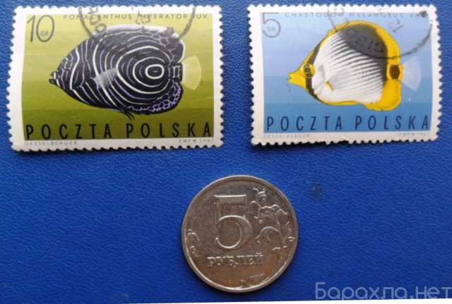 Продам: Серия марок Рыбы тропиков. Польша. 1967