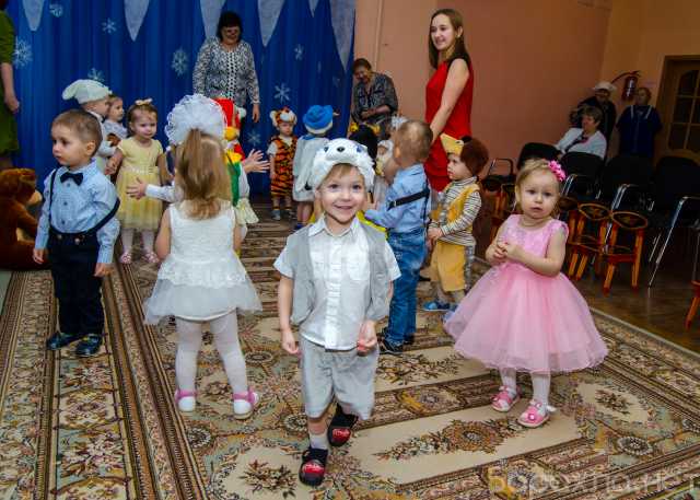 Предложение: Видео+ фото свадеб, утренников