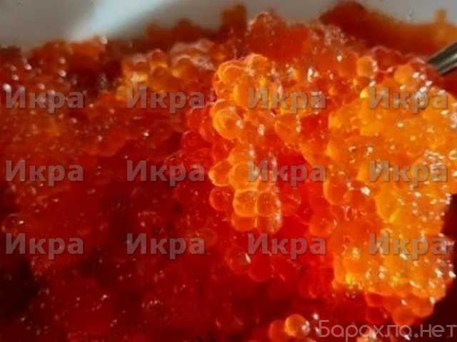Продам: Красная икра