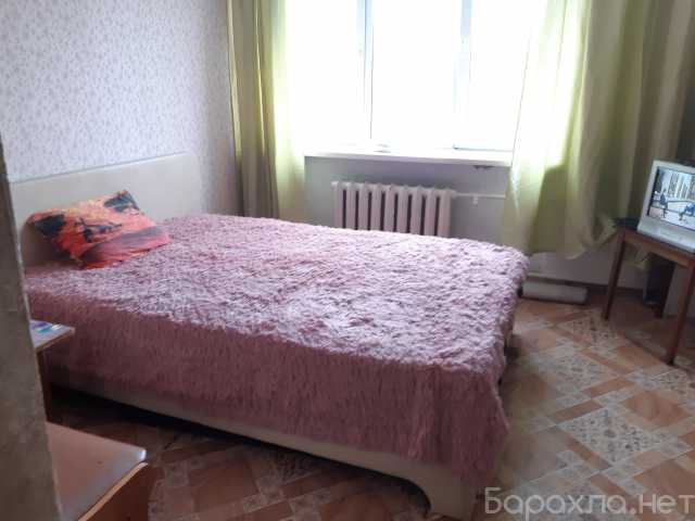 Сдам: квартиру