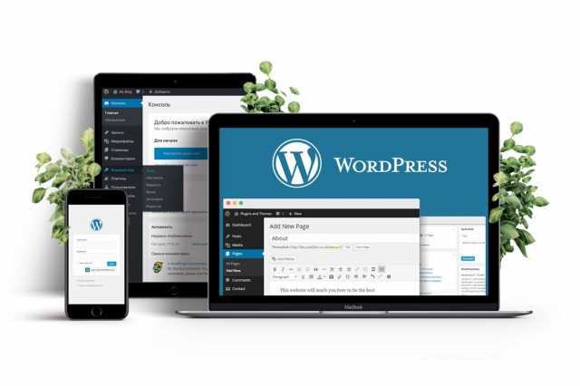 Предложение: Создание сайтов на WordPress