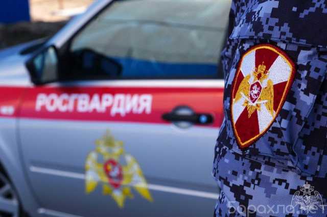 Вакансия: на службу на должности полицейских