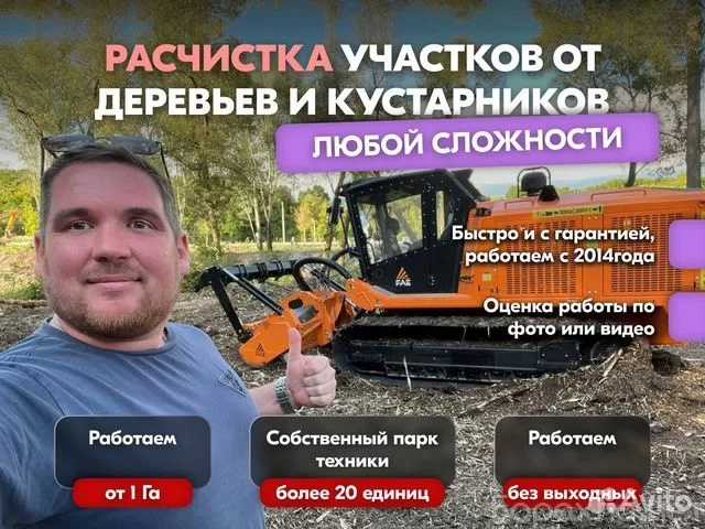 Предложение: Расчистка заросших полей от деревьев от