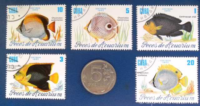 Продам: серия марок Аквариумные рыбки Кубы. 1985