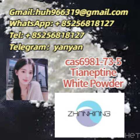 Продам: cas66981-73-5 Tianeptine white powder