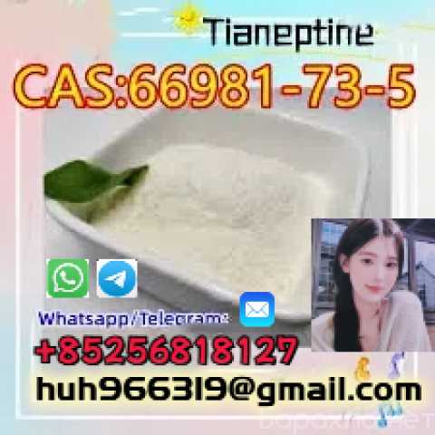 Продам: High quality Tianeptine CAS66981-73-5