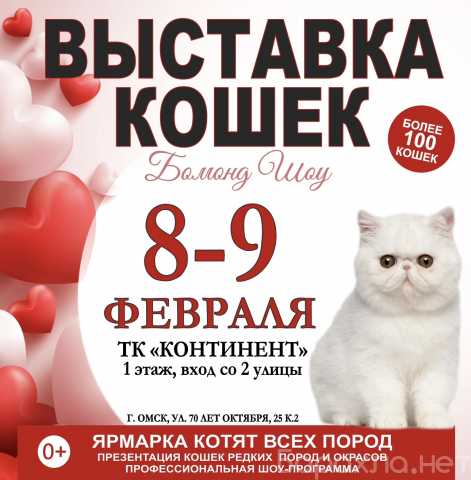 Продам: Выставка кошек 8-9 февраля в Континенте