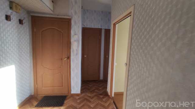 Сдам: квартиру