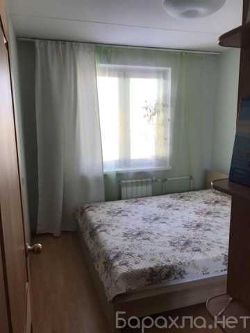 Сдам: квартиру
