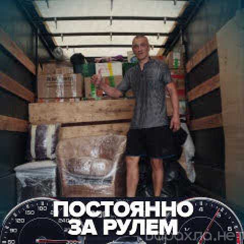 Предложение: 💪Опытнейшие грузчики👌