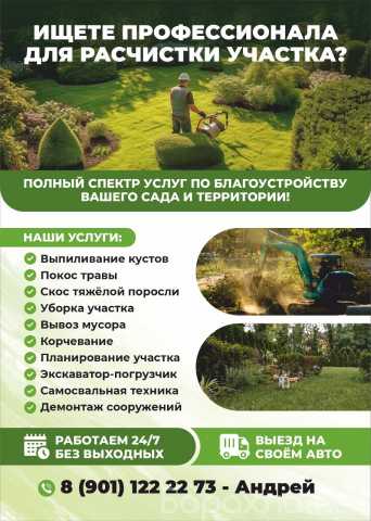Предложение: Расчистка/уборка участка. Спил деревьев