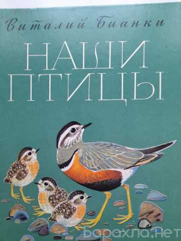 Продам: ВИТАЛИЙ БИАНКИ НАШИ ПТИЦЫ