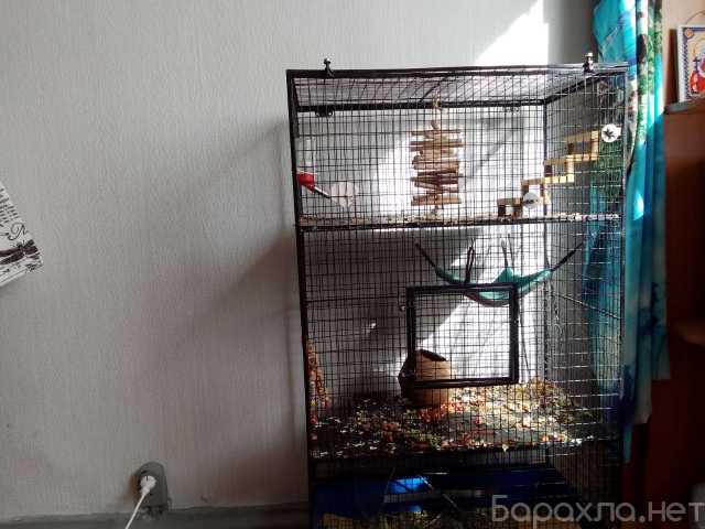 Продам: Клетка для грызунов