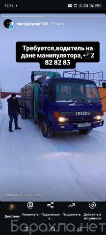 Предложение: воровайка манипулятор
