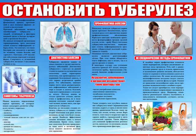 Предложение: Санитарный бюллетень (Санбюллетень)