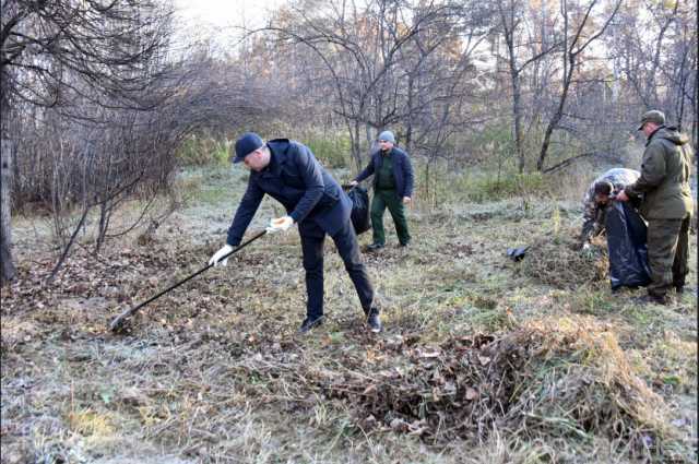 Предложение: Уборка территории. Уборка участка. Вывоз
