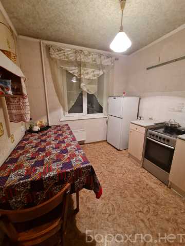 Сдам: квартиру