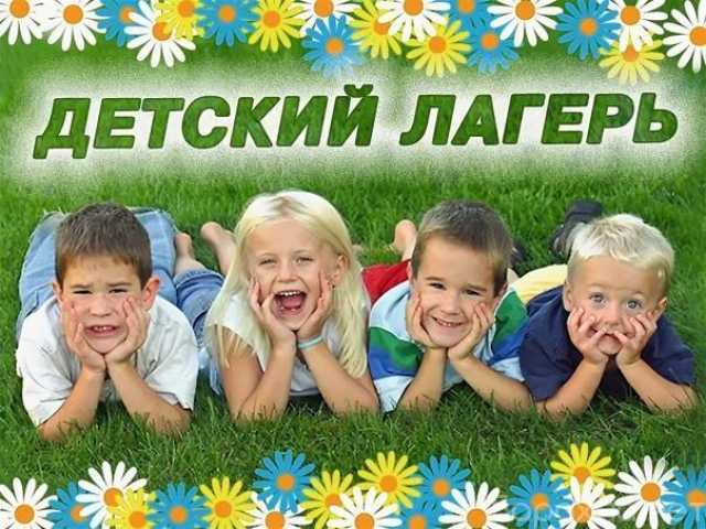Предложение: Летний городской лагерь Ромашка
