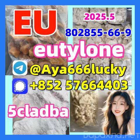 Продам: 802855-66-9 2fdck eutylone 5cladba mdma