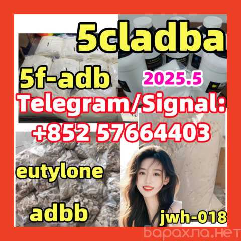 Продам: 5cladba eutylone 5fadb adbb apvp molly