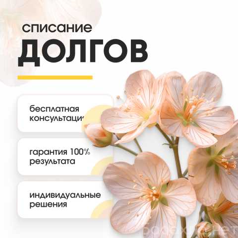 Предложение: Списание долгов и кредитов законно