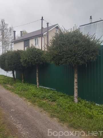 Продам: дом
