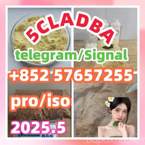 Продам: 14188-81-9 iso 2732926-24-6