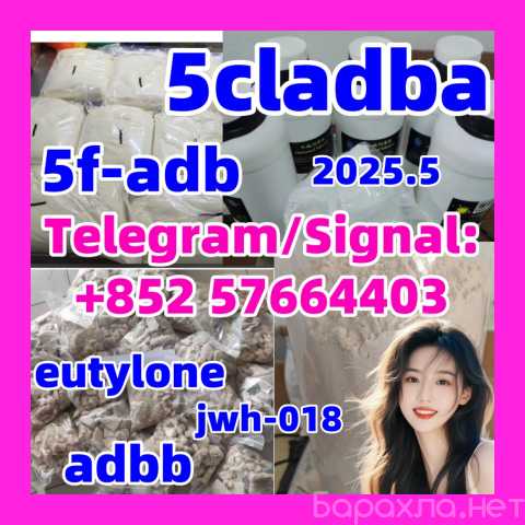 Продам: Chemical strongest adbb 5cladba precurso