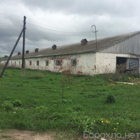 Продам: фермерское хозяйство