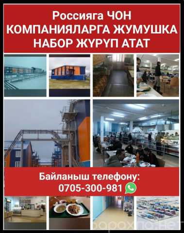 Вакансия: Россияга чоң компанияларга жумушка набор