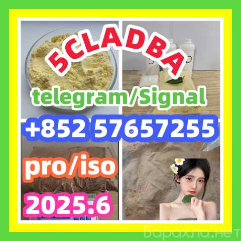 Продам: 109555-87-5 5CLADBAiso pro 802855-66-9