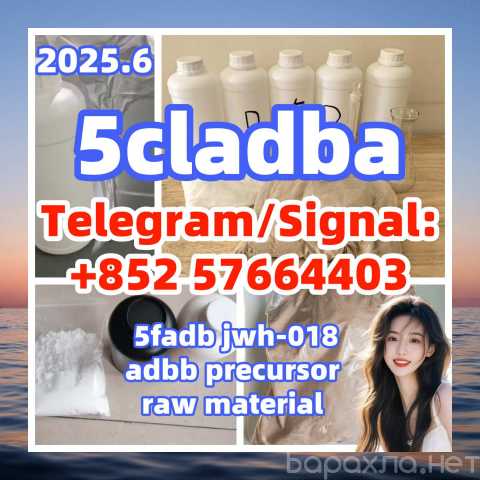 Продам: 109555-87-5 5cladba 5fadb adbb molly