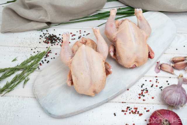 Продам: Цыпленок табака. Индюки, Цесарки, Утки
