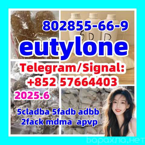 Предложение: eutylone,mdma,2fdck,cas:802855-66-9,Comp