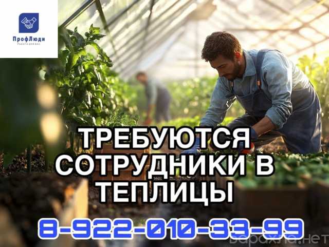 Вакансия: Разнорабочий в теплицы
