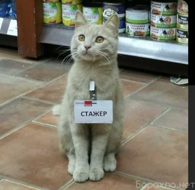 Вакансия: продавец консультант