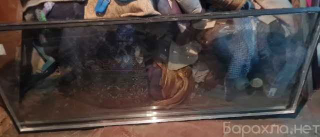 Продам: Стеклоблоки