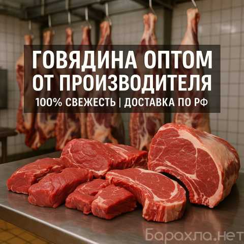 Продам: Оптовая продажа мяса говядины